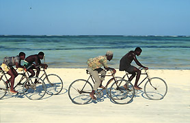 biciclette sulla spiaggia