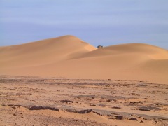 Sahara