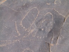 disegni rupestri