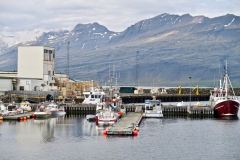 Djupivogur