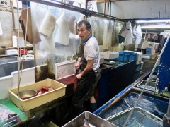 fish market