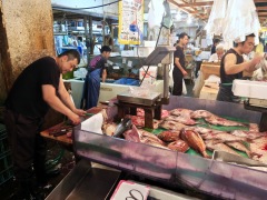 fish-market