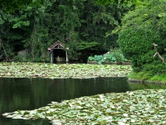 Ryoanji-Zen