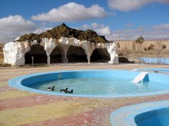 anatre in piscina