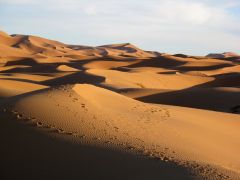 deserto - Erfoud