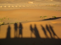 dune deserto