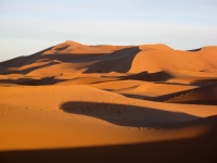 dune deserto