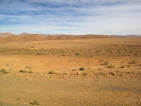 terra arida