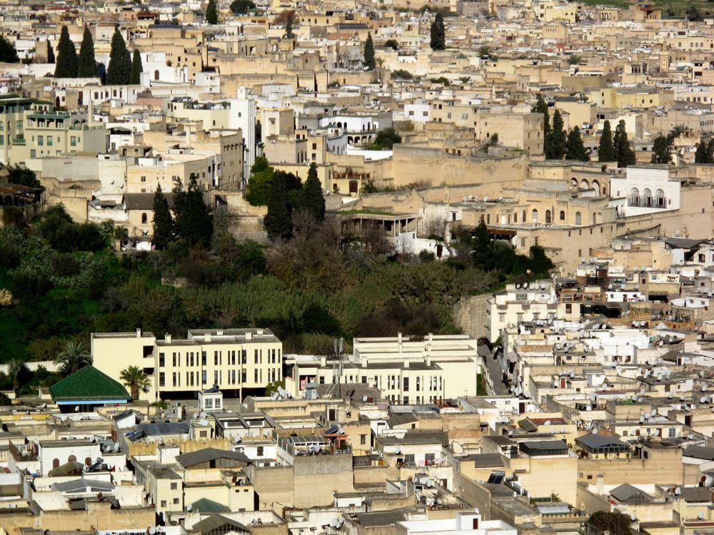 Fez-Medina