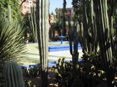 giardini Majorelle