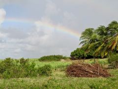 arcobaleno