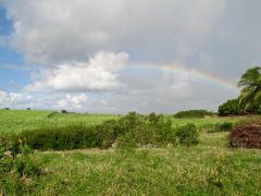 arcobaleno