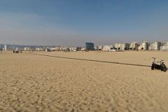 Figueira da Foz