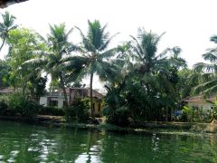 Backwaters