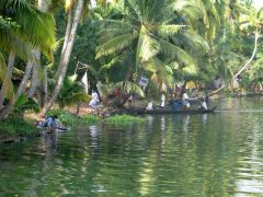 Backwaters-