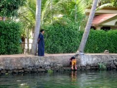 Backwaters-296_0170.jpg