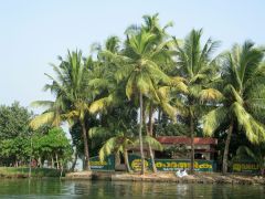 Backwaters-