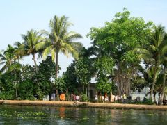 Backwaters-