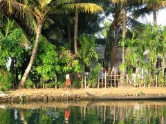 Backwaters-