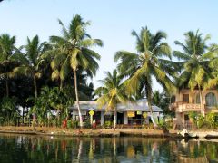 Backwaters-