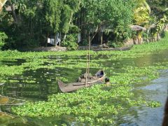 Kerala-Backwaters