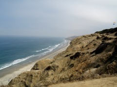 Torrey Pines