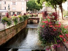 Colmar_14145