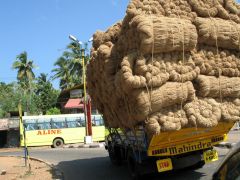 india-backwater