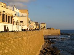 Alghero-Caccia-Nettuno