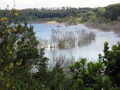 Lago Baratz