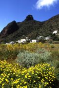 panarea