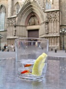 Barcelona - bicchiere-pesci