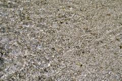 acqua
